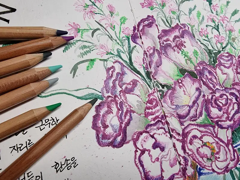 파버까스텔수채색연필,,마르코르누와르색연필