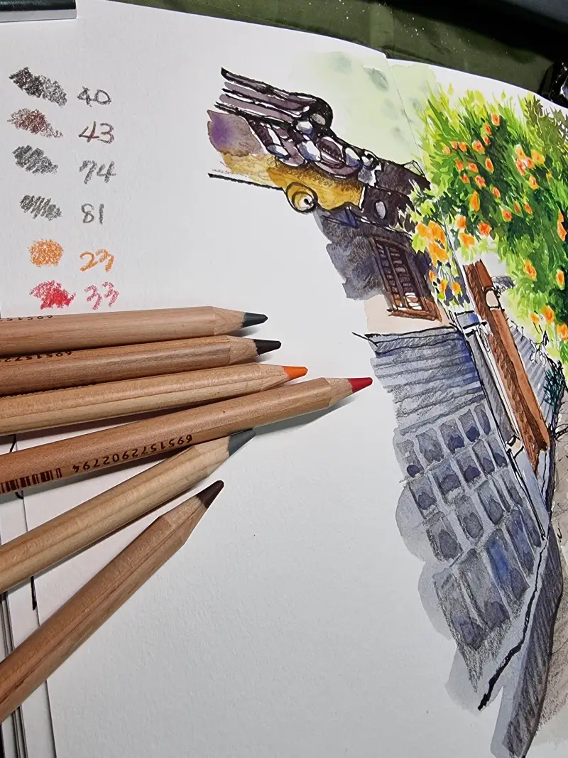 마르코르노와르색연필