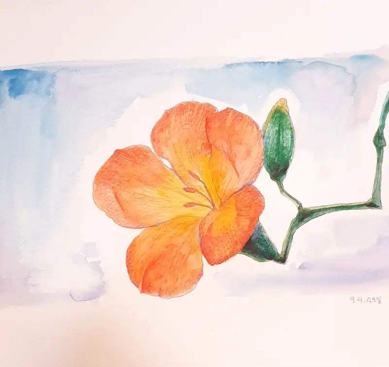 화방넷드로잉로그,드로잉로그,능소화,여름꽃