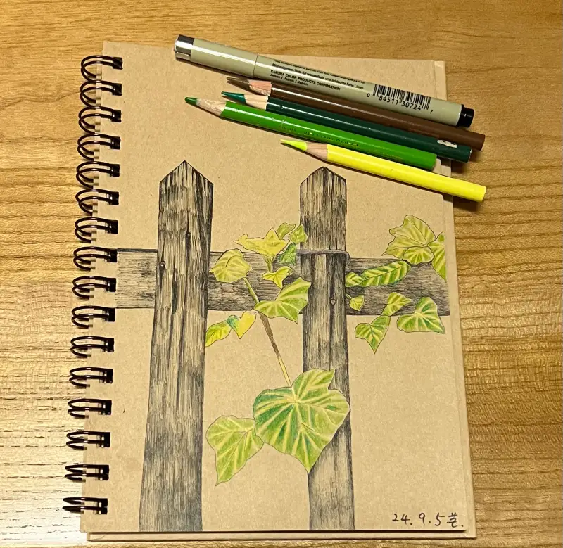 드로잉로그,여름식물,펜드로잉,화방넷드로잉로그,화방넷