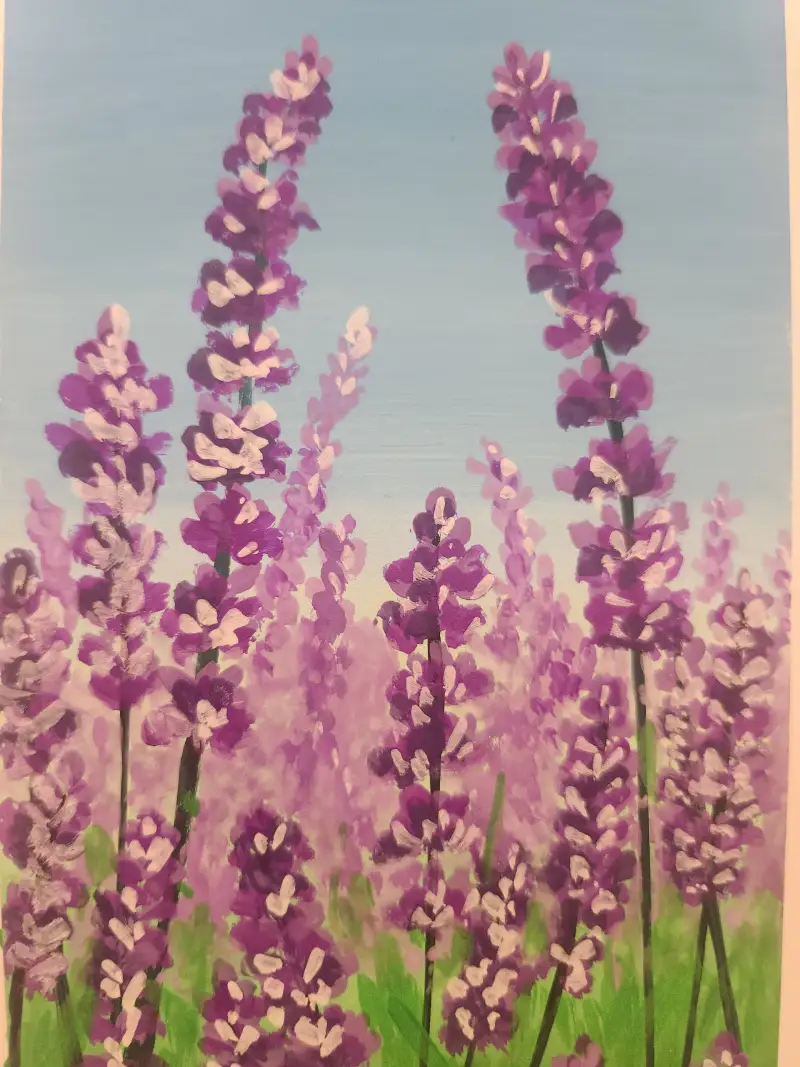 미야과슈,HIMI,babara