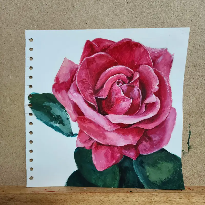 장미꽃,여름꽃,여름장미,여름식물,미야수채화전용지