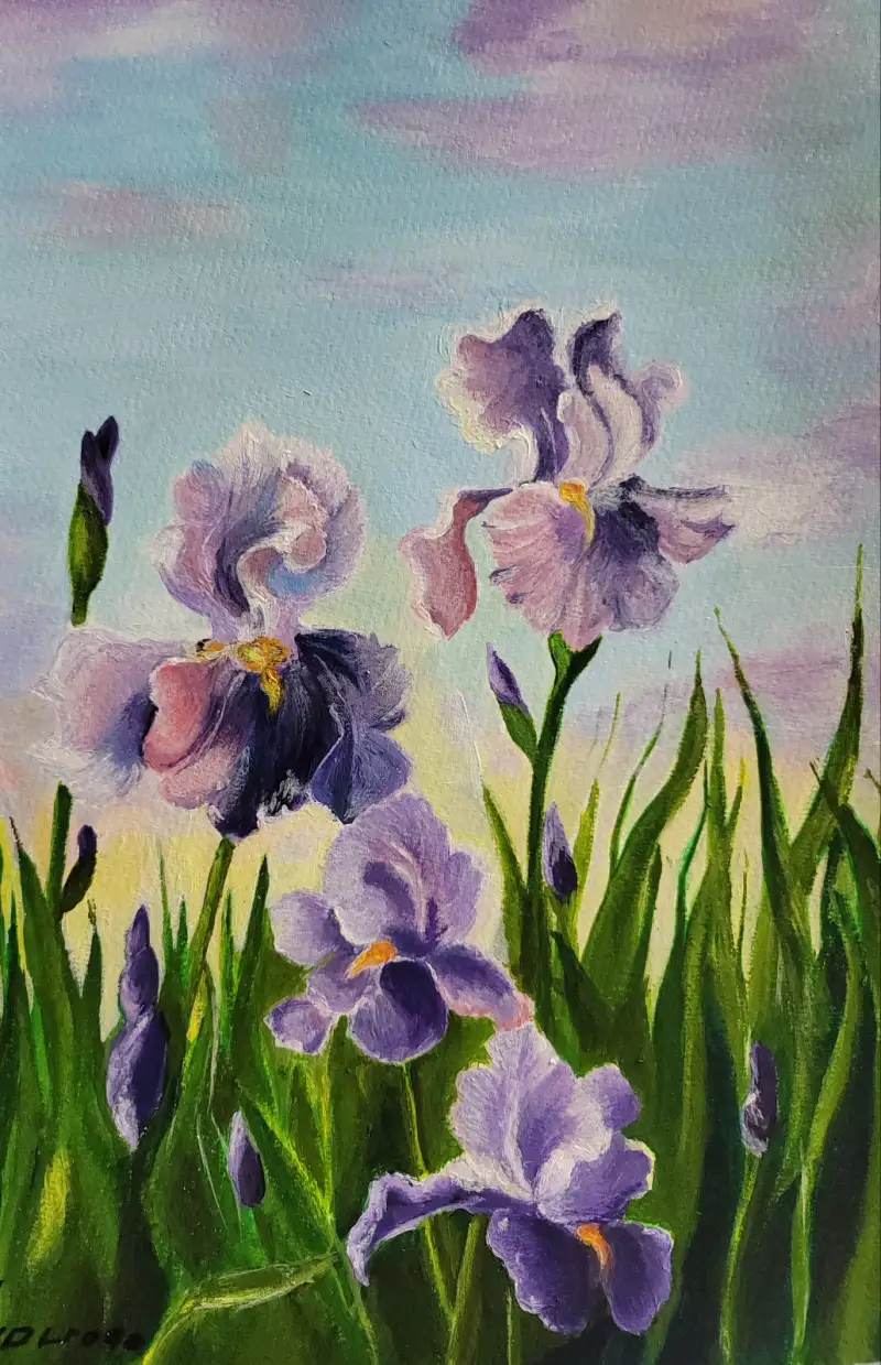 화방넷,드로잉로그,챌린지