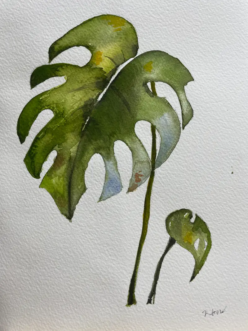 신한수채물감12색,화홍수채붓,파브리아노수채용지2절300g,화방넷드로잉로그