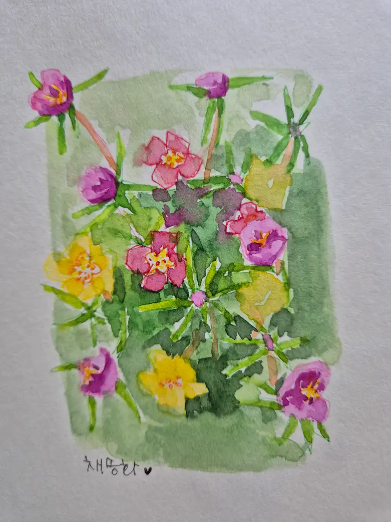 화방넷드로잉로그,드로잉로그,1주차여름식물