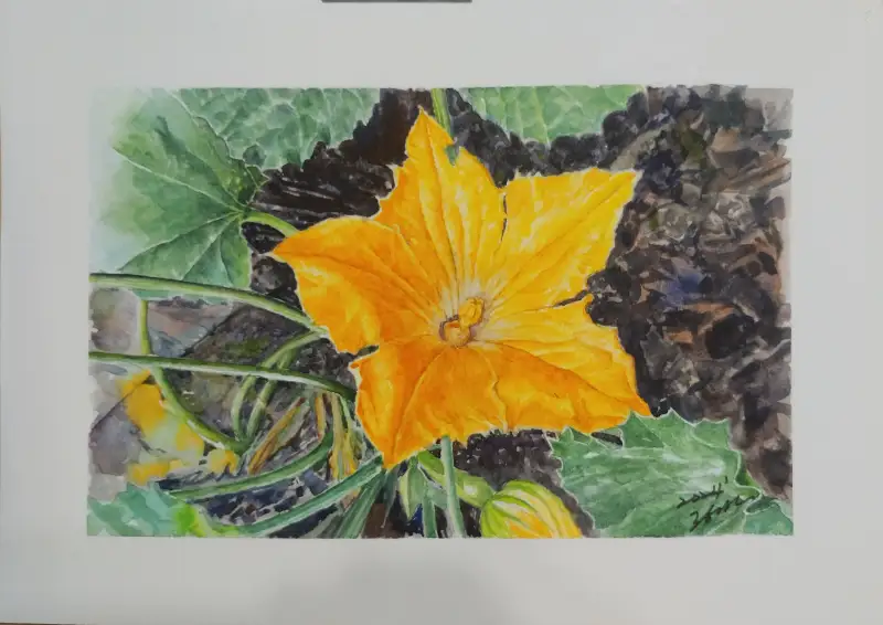 화방넷드로잉로그,수채화,호박꽃
