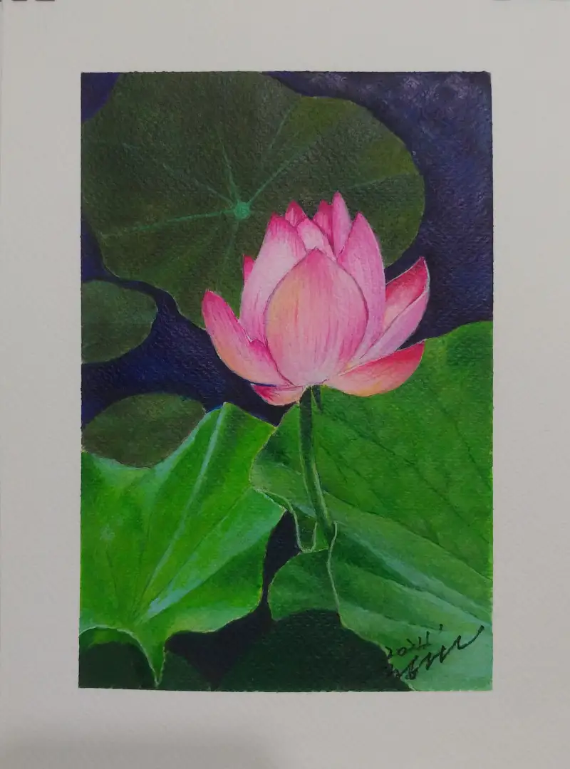 드로잉로그,아크릴,연꽃