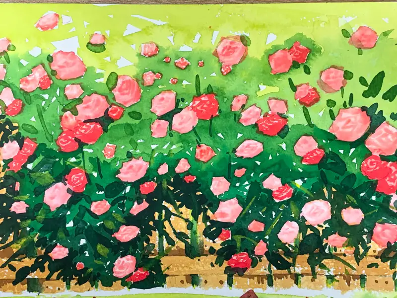 신한전문가용수채화,화홍500R