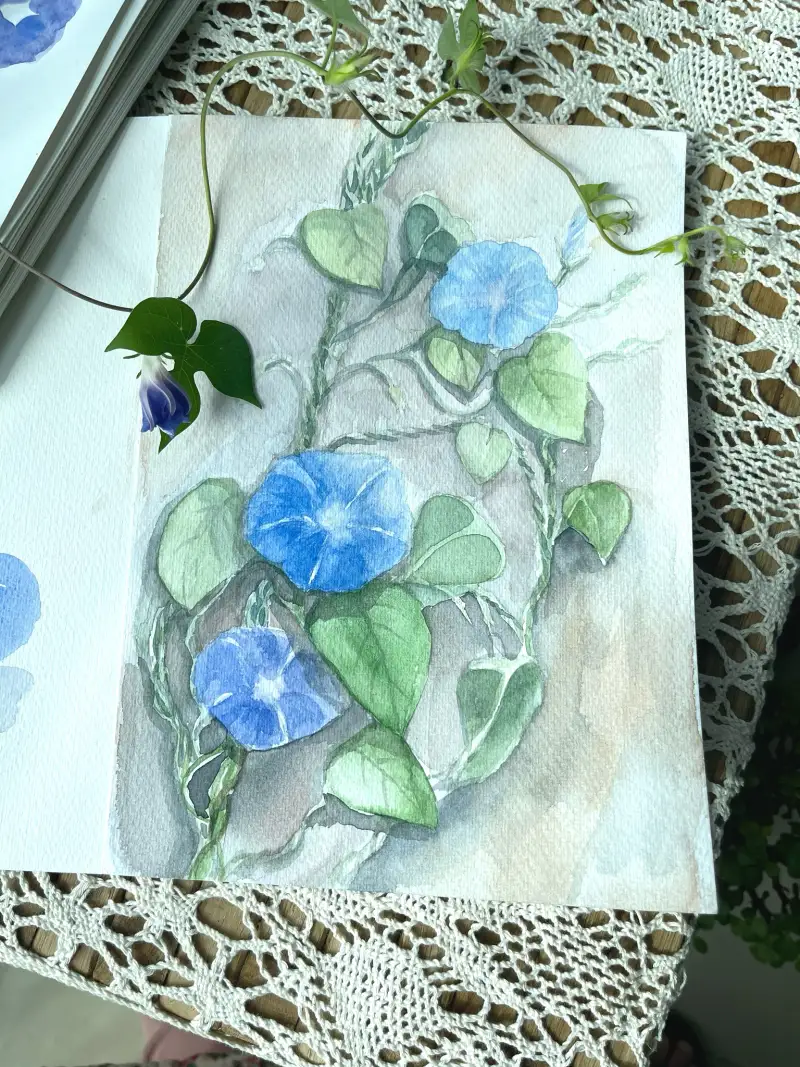 드로잉로그,여름식물,화방넷드로잉로그