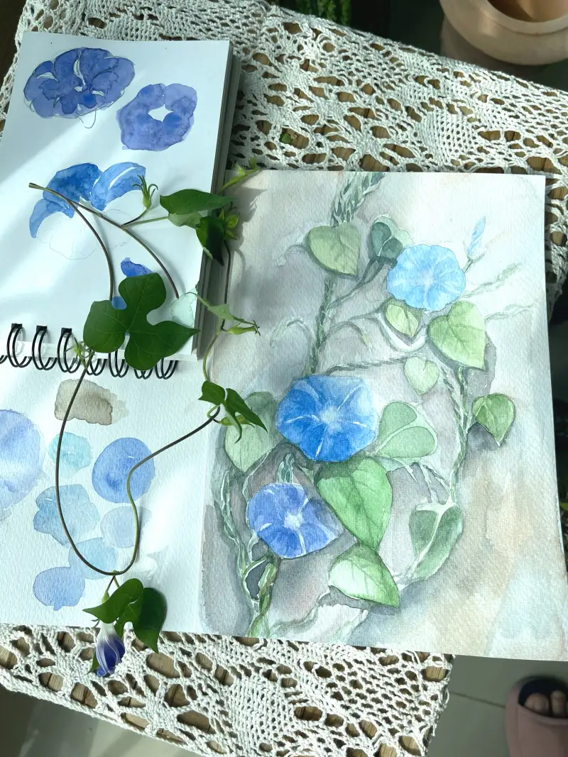 미젤로,미션골드,수채화물감,미젤로미션골드수채물감,파브리아노5