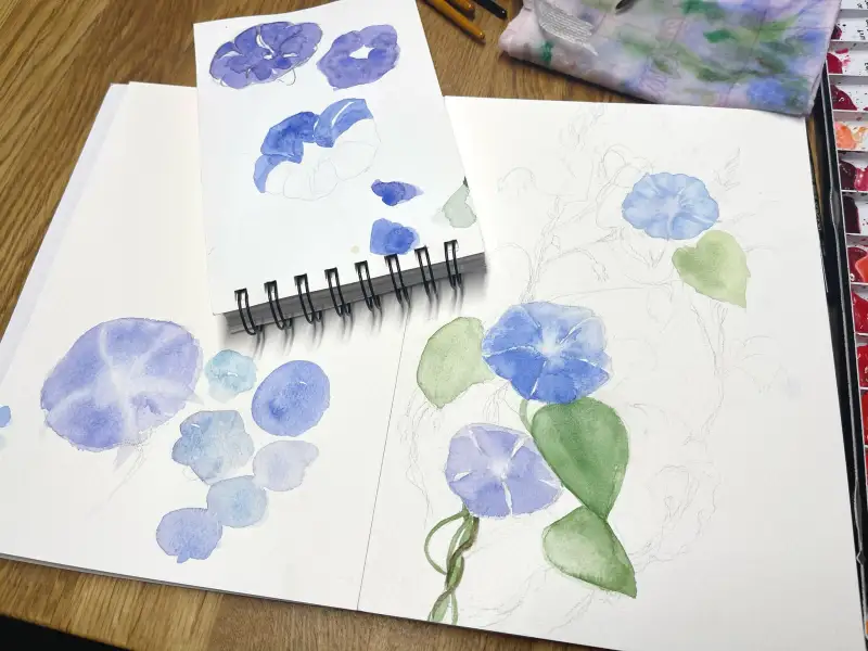 바바라series,아트스퀘어프리마엄