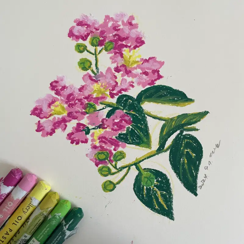 문교오일파스텔