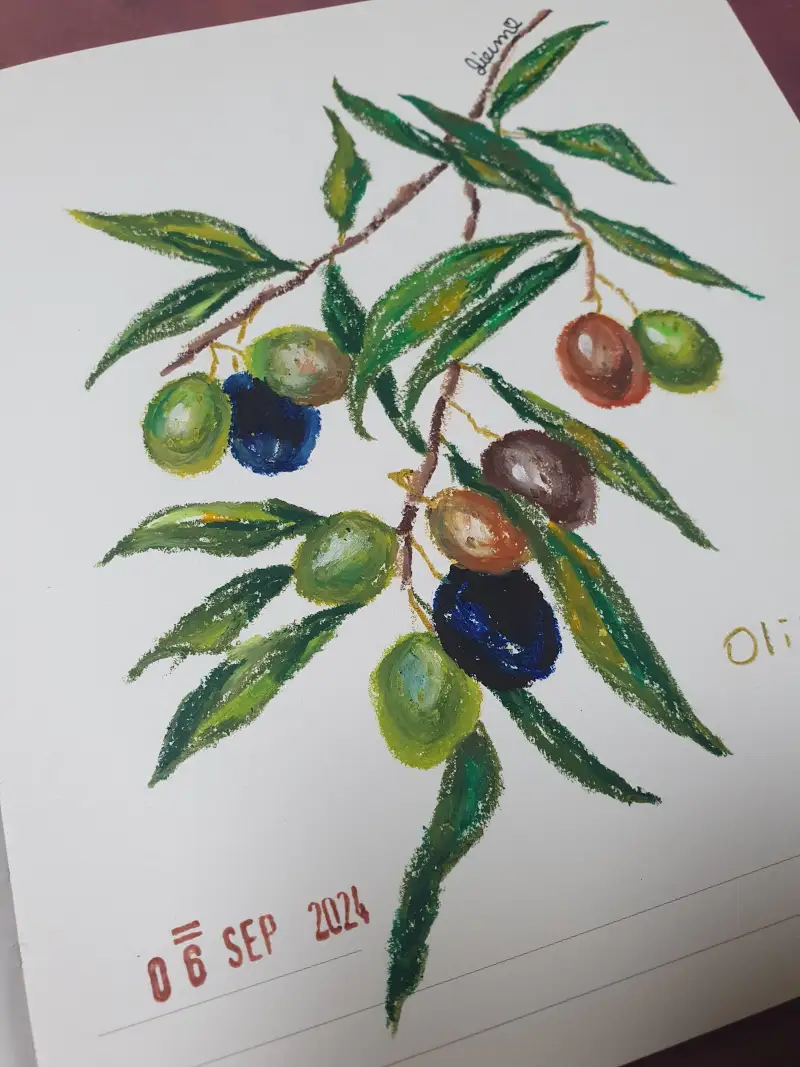 화방넷드로잉로그,드로잉로그,오일파스텔,올리브나무