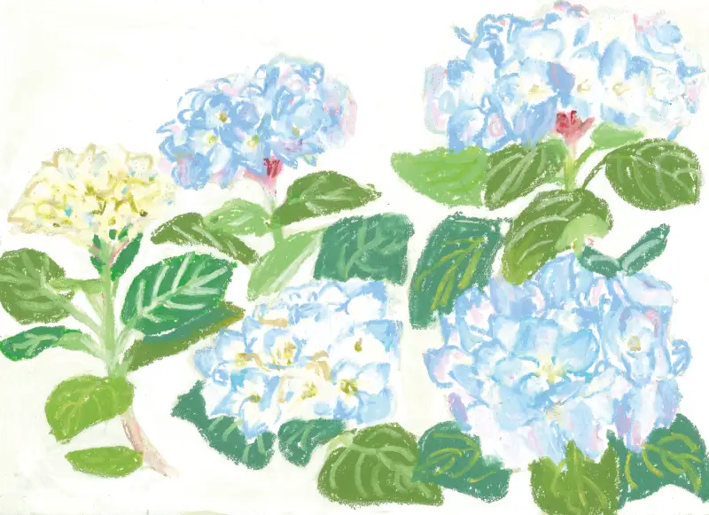 화방넷드로잉로그