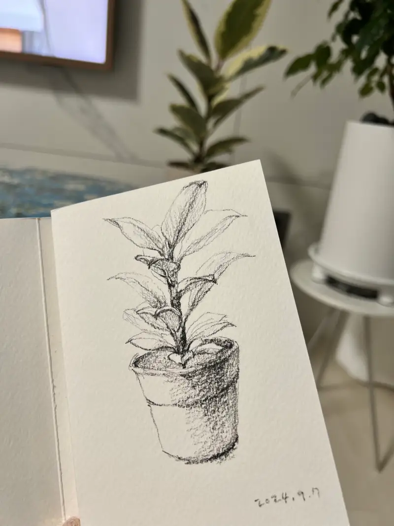 드로잉로그,화방넷드로잉로그,1주차,여름식물