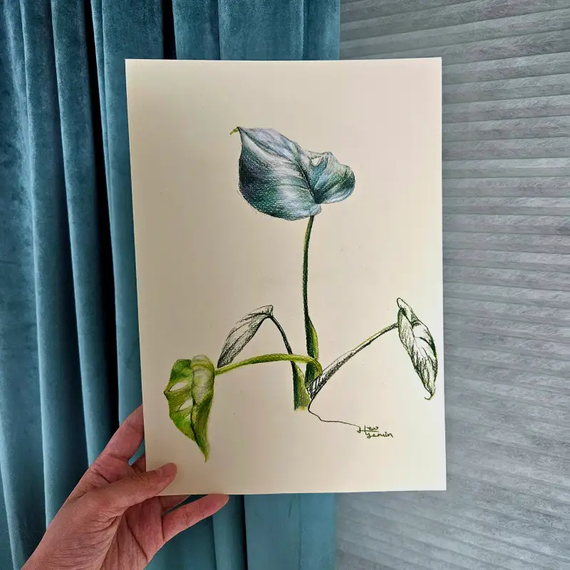 문교파스켈전용지,파버카스텔,까렌다쉬,스테들러,수성색연필