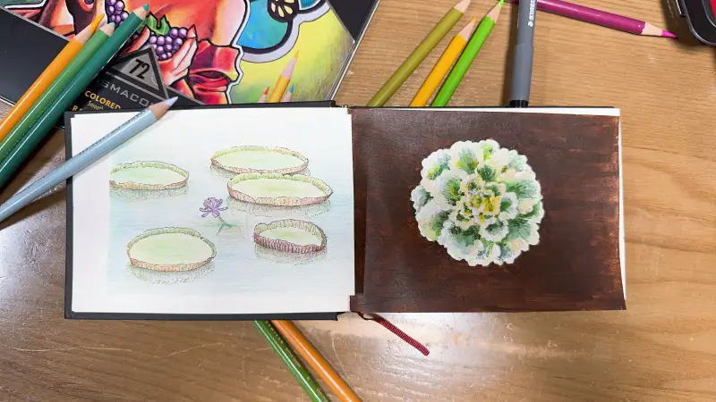 화방넷드로잉로그,드로잉로그