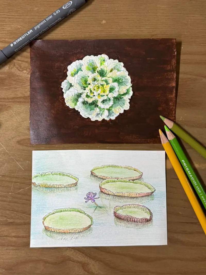 화방넷드로잉로그,드로잉로그