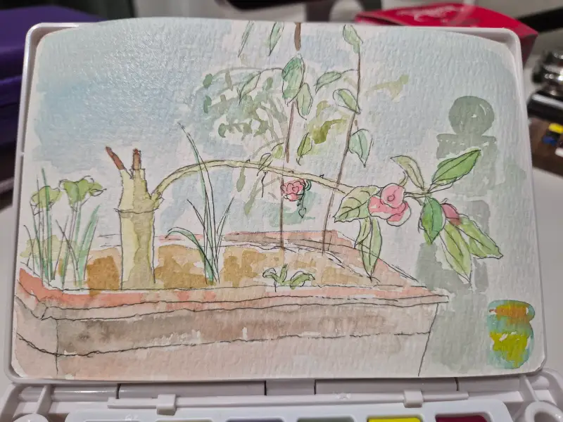 화방넷드로잉로그,드로잉로그,여름식물