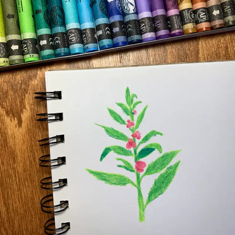 화방넷드로잉로그,까렌다쉬네오컬러2