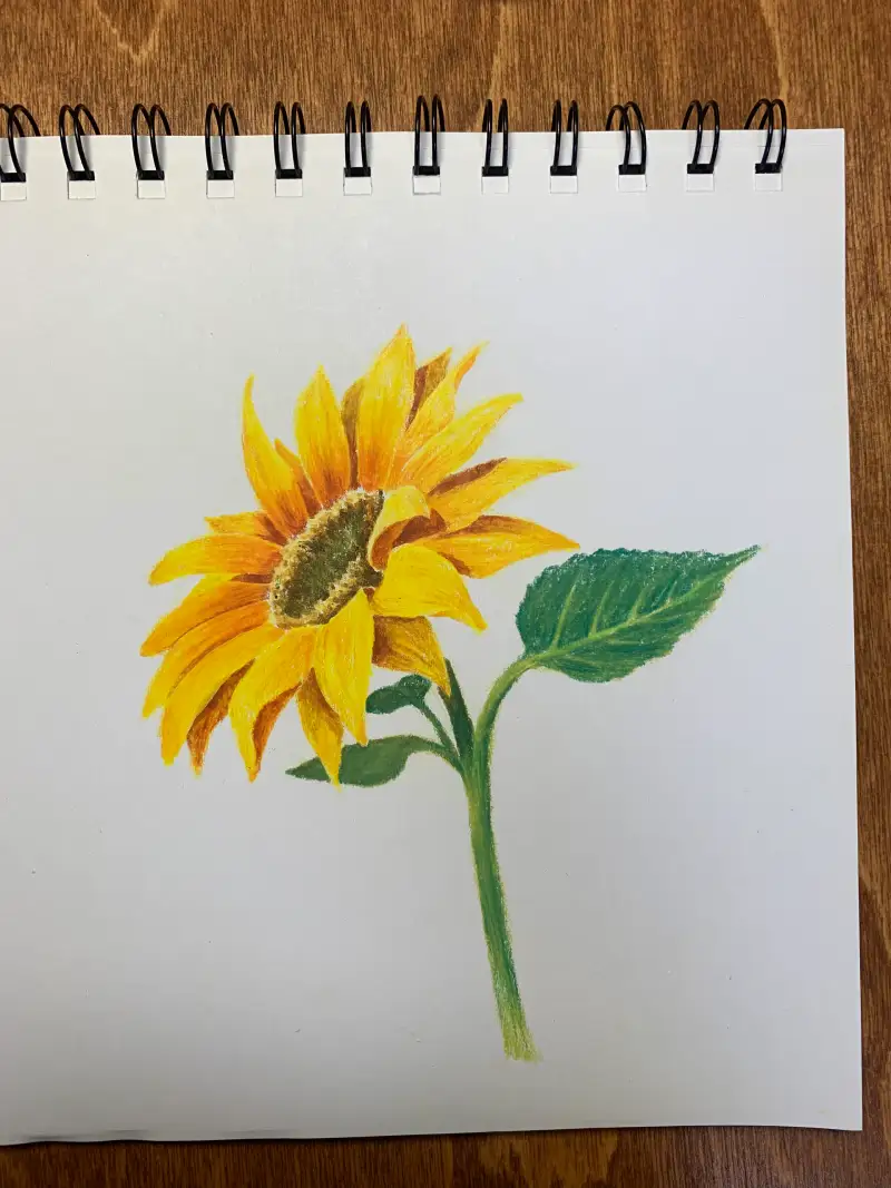 화방넷드로잉로그,드로잉로그챌린지