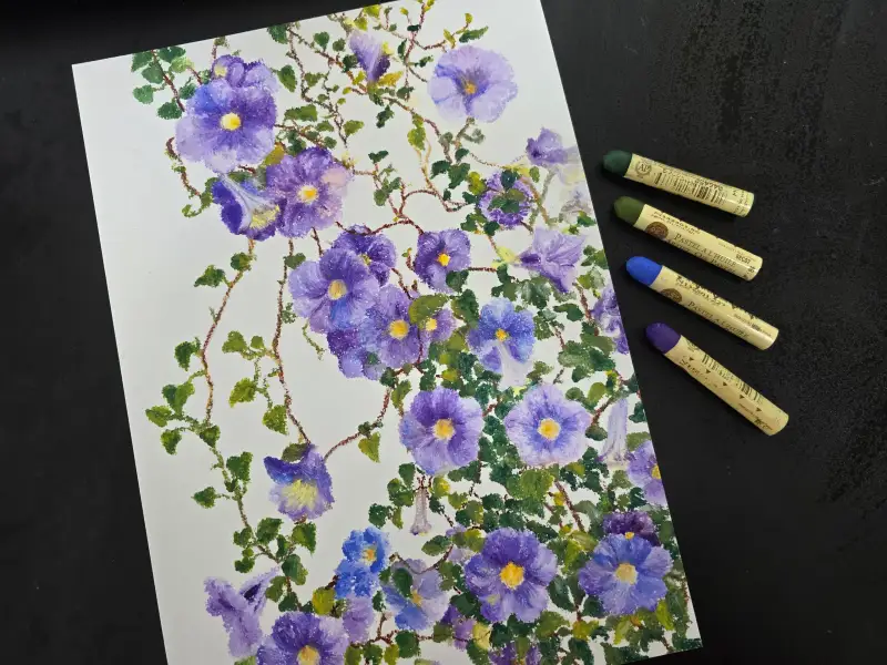 시넬리에오일파스텔,문교파스텔전용지,나팔꽃,오일파스텔그림