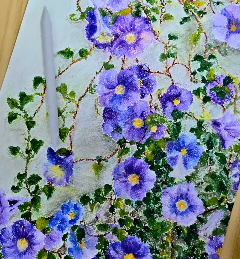 나팔꽃,여름식물,찰필