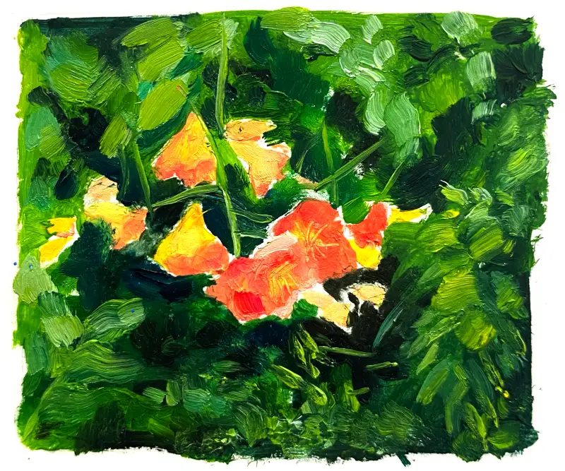 능소화,홀베인,유화,유화물감,갬블린,브러쉬,유화붓,드로잉로그