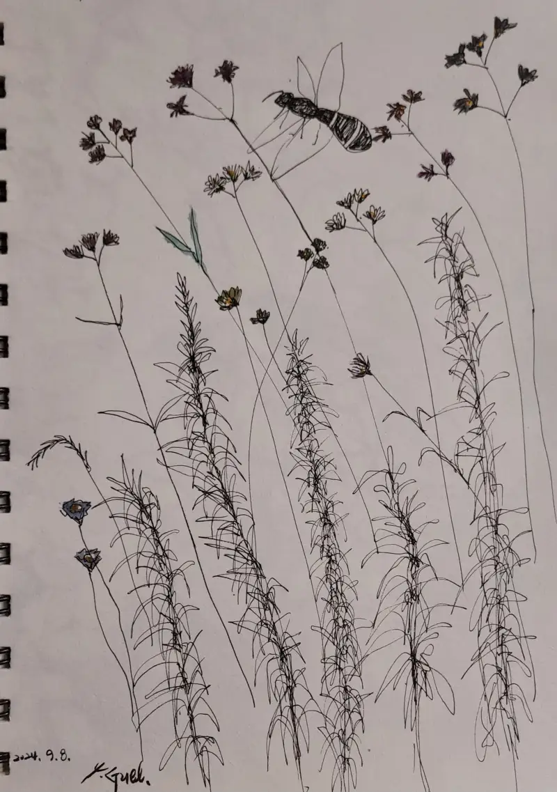 자라섬,생명력있는꽃들