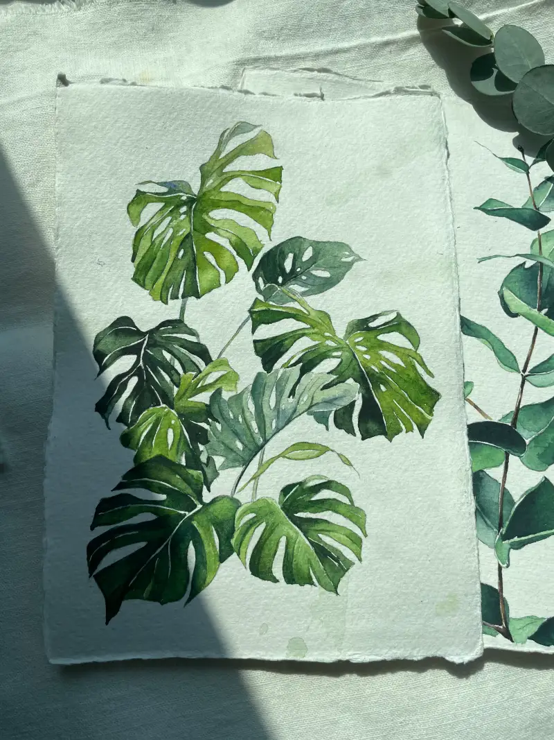 수채화,swc,바바라붓,카디페이퍼