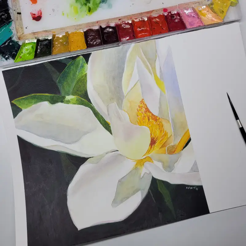 홀베인,수채화,여름식물,태산목