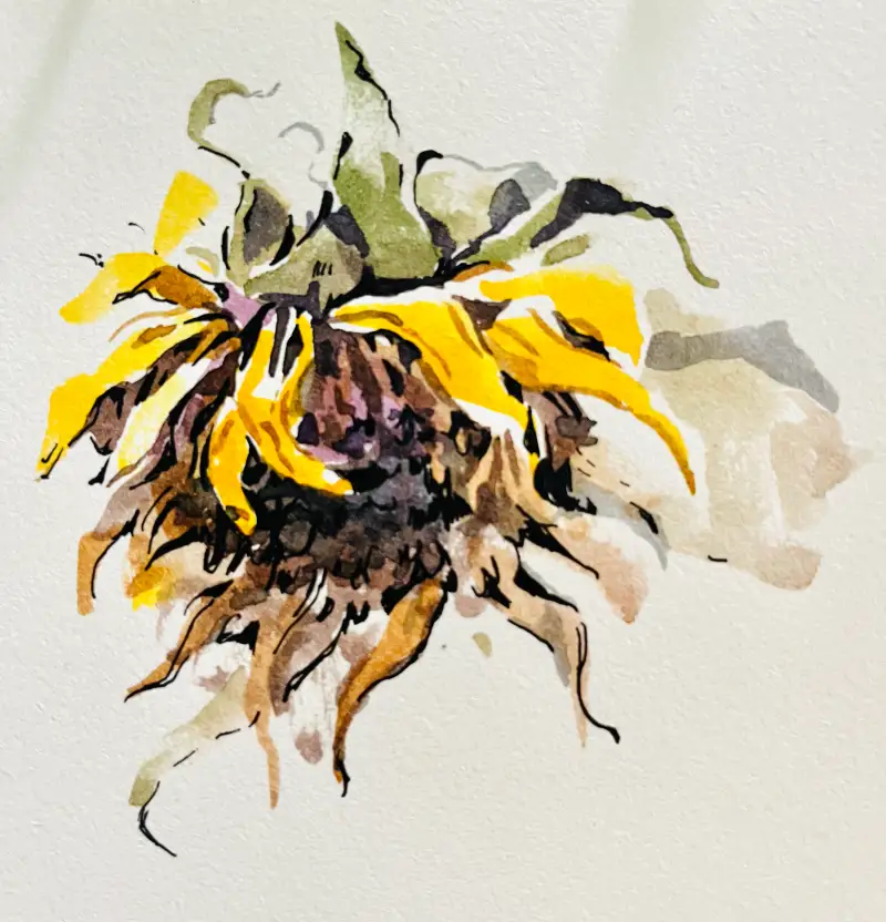 수채화,여름,드로잉로그,해바라기,꽃,식물