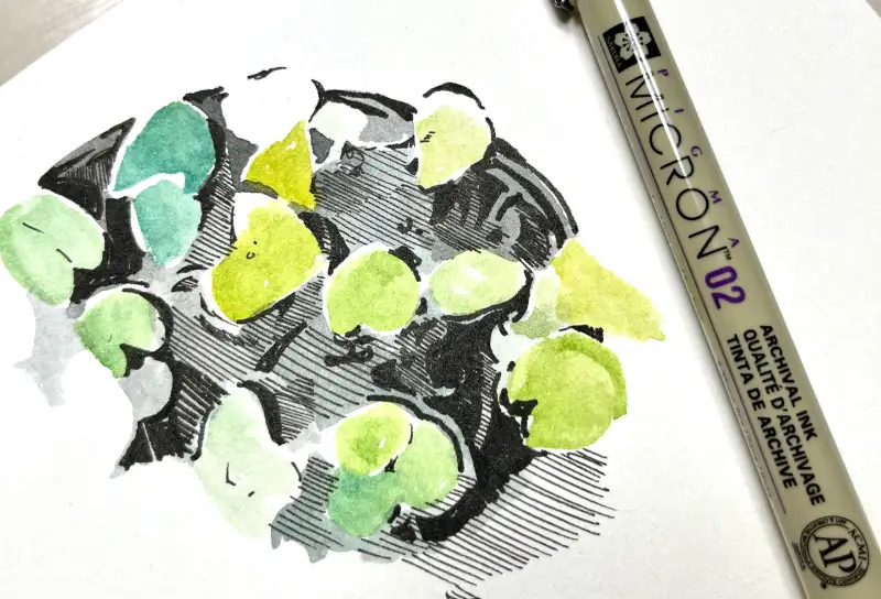 피그마,펜,수채화,연꽃,드로잉로그