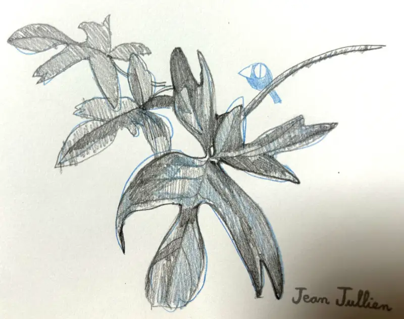 화방넷드로잉로그,보난자연필