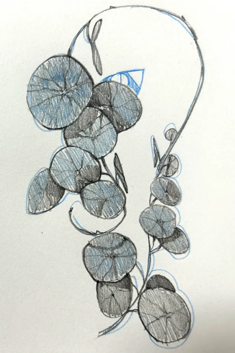 화방넷드로잉로그,보난자연필