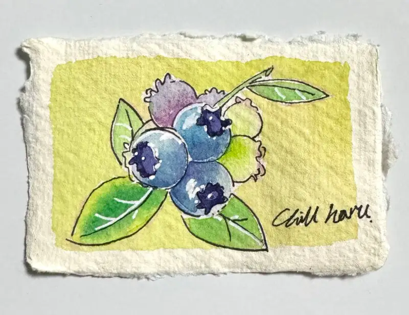 사쿠라,사쿠라겔리롤,피그마,카디,카디페이퍼,윈저앤뉴튼,수채화물감