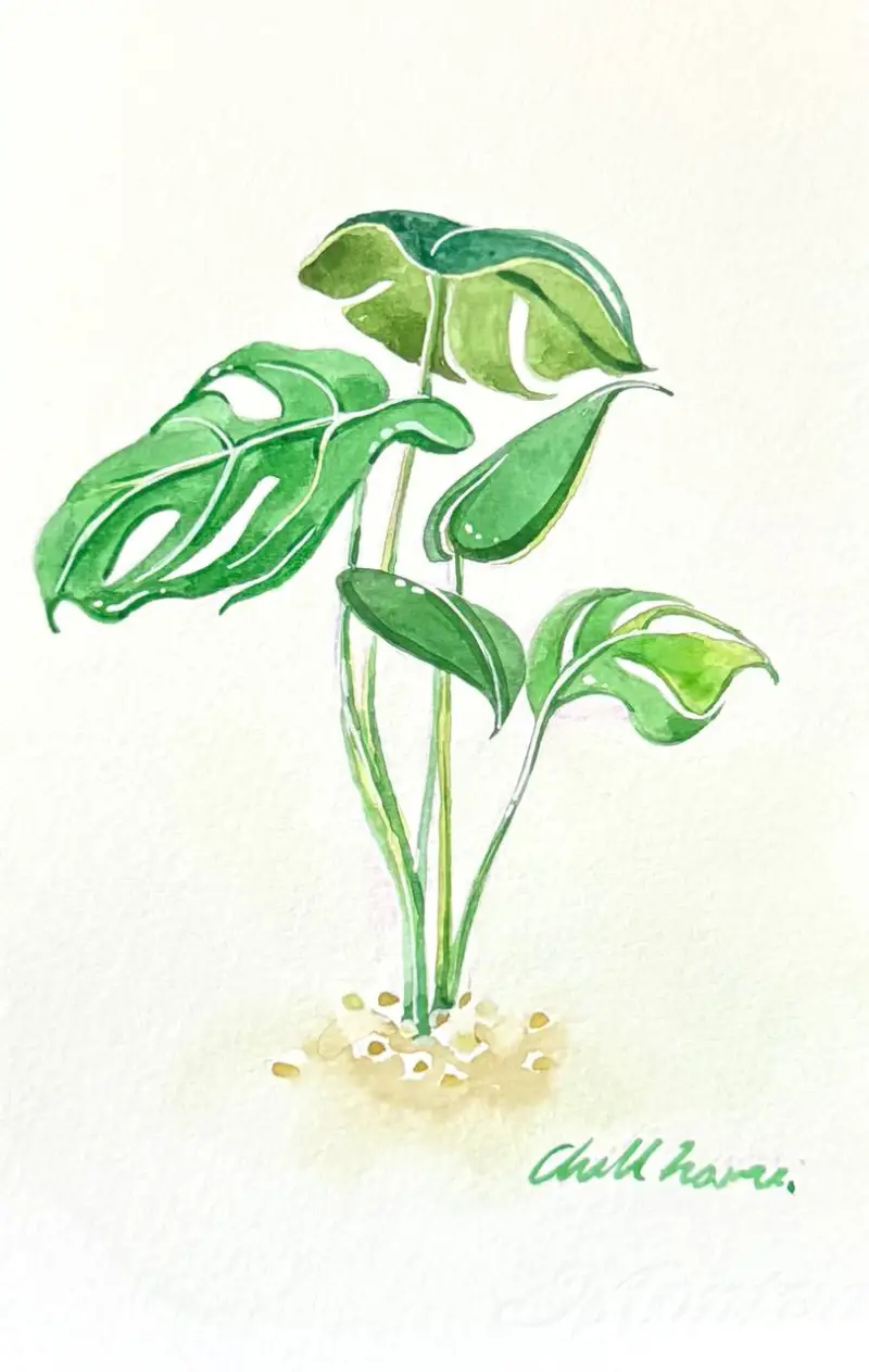 윈저앤뉴튼,캔손,캔손몽발,수채화물감,화홍,화홍771R,프리즈마,애니메이션,색연필