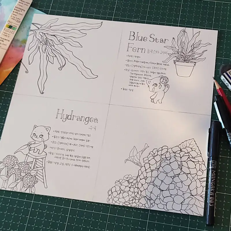 꽃그림,블루스타고사리,수국,반죽이