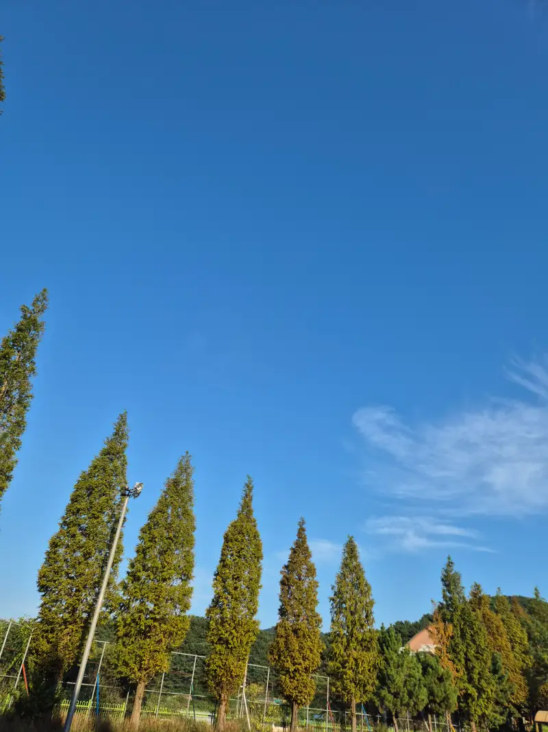 걷기명상,동네걷기,맨발걷기,하늘보기