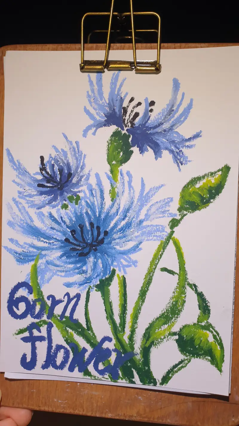 화방넷드로잉로그