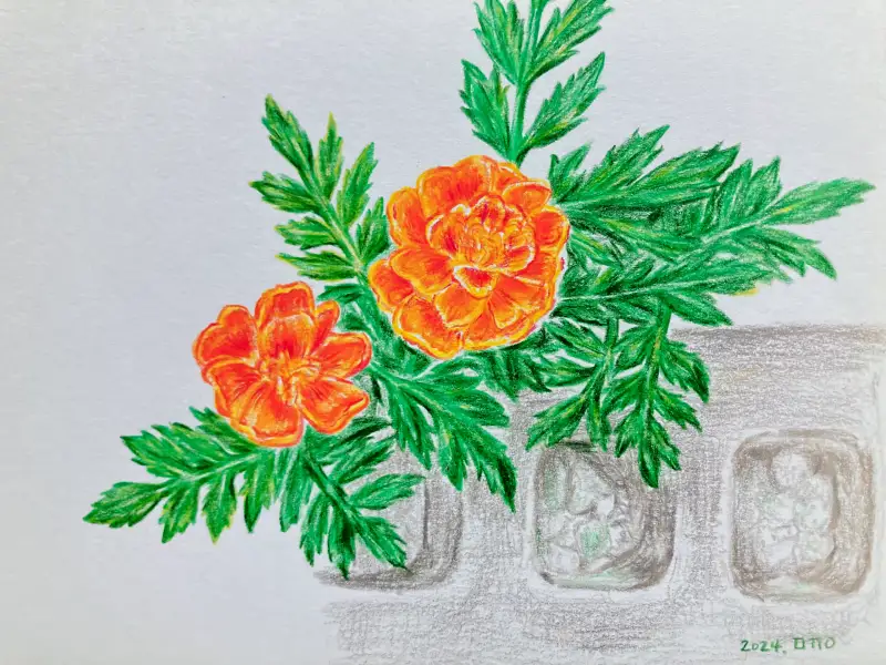 프리즈마유성색연필,식물