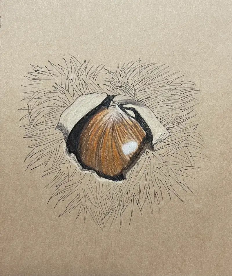 화방넷,화방넷드로잉로그,펜그림,펜드로잉,색연필드로잉