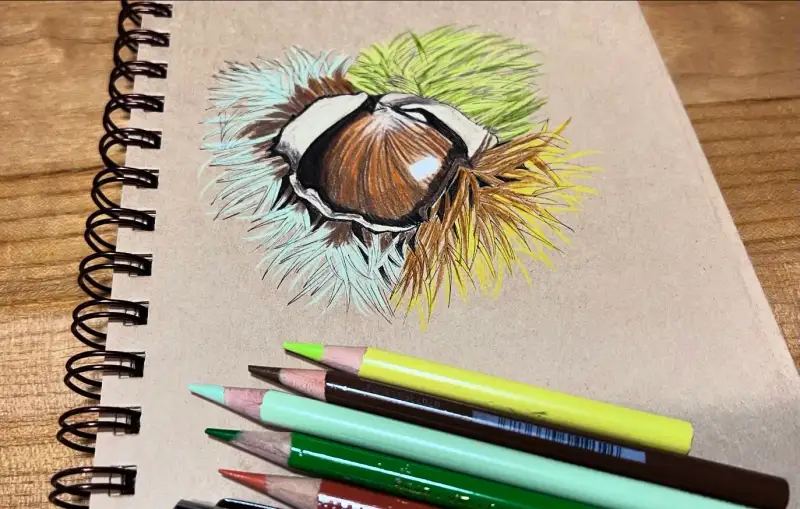 화방넷드로잉로그,화방넷