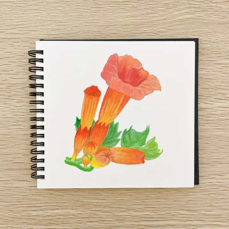 미야젤리과슈,더웬트크로마플로우색연필