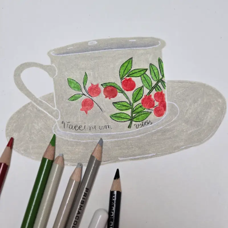 색연필화,프리즈마색연필,커피소서세트,겔리롤사쿠라