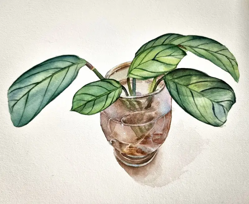 띠에뽈로,띤또레또붓,미젤로미션골드클래스