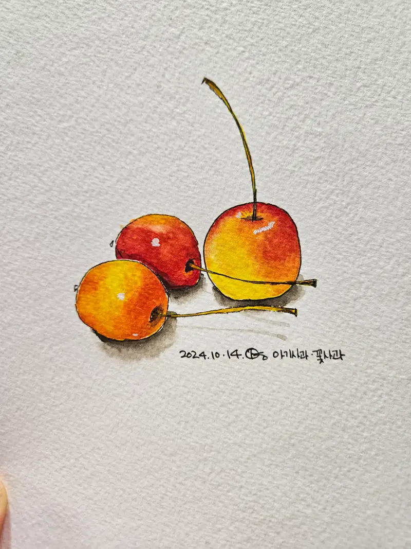 화방넷드로잉로그