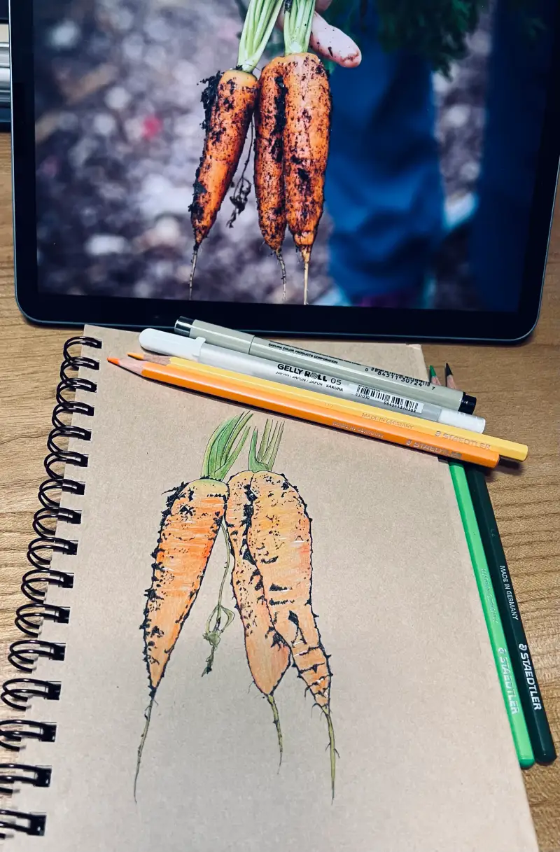 화방넷,화방넷드로잉로그,드로잉로그,채소그리기,당근