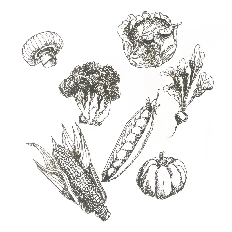 딥펜드로잉,이로시주쿠,잉크