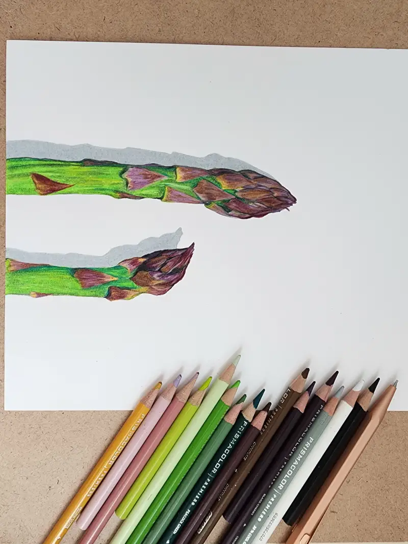 프리즈마유성색연필,백상지